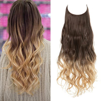 Dark Brown to Sandy Blonde